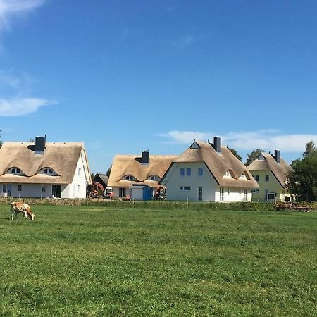 Reetdachhaeuser Boergerende Exterior foto